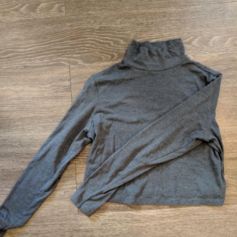 Turtle Neck Crop Long Sleeve
